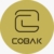 CoBak Case