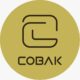 CoBak Case