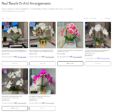 Totally Glam Decor Promo Code 10% Off Luxury Orchids