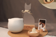 Markpet Discount Code $42.5 Off Pet Memorial Urn Set